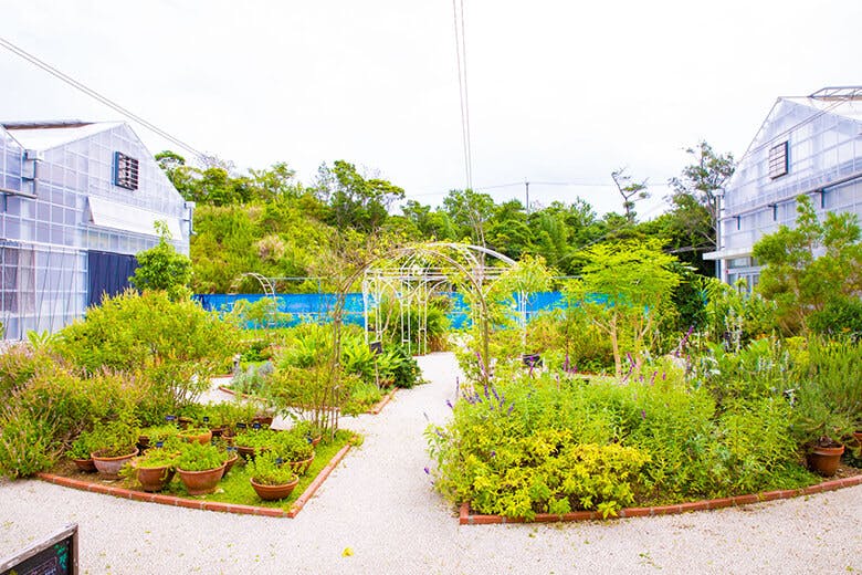 なごアグリパーク｜施設内にあるハーブ園