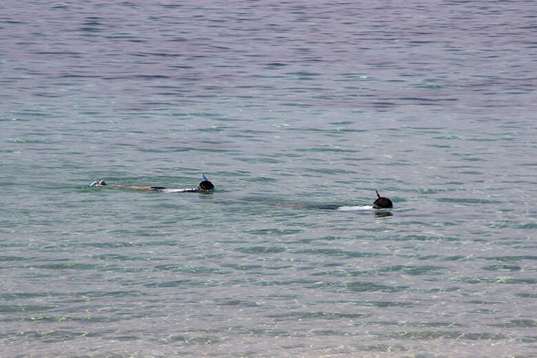 米原ビーチ（よねはらびーち）｜シュノーケリングしている子供らしき二人