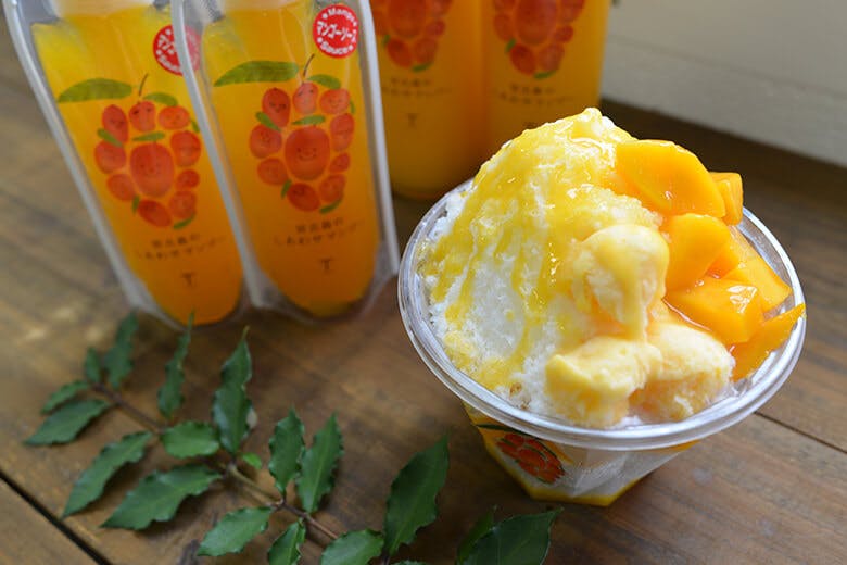 マンゴー専門工房「ティダファクトリ」|マンゴースイーツ