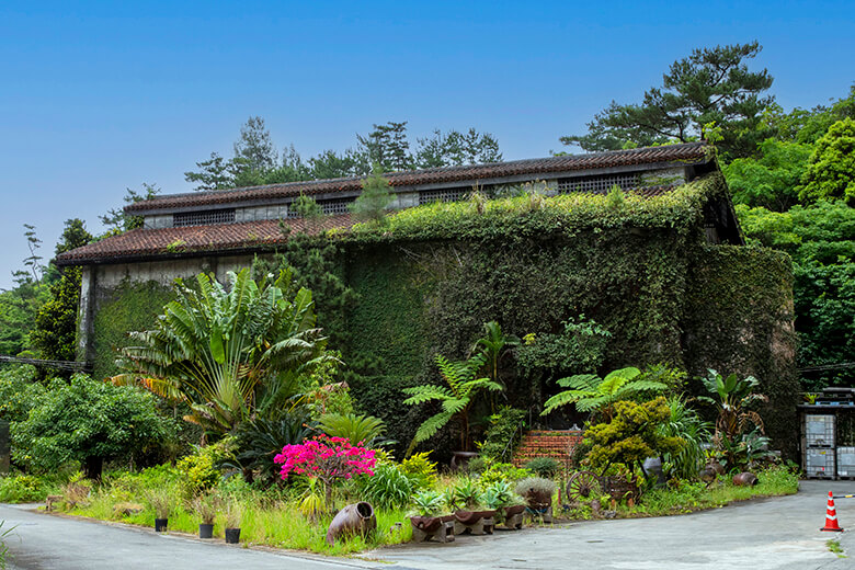 ヘリオス酒造|一の蔵