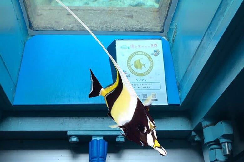 宮古島海中公園｜同じくツノダシのCG