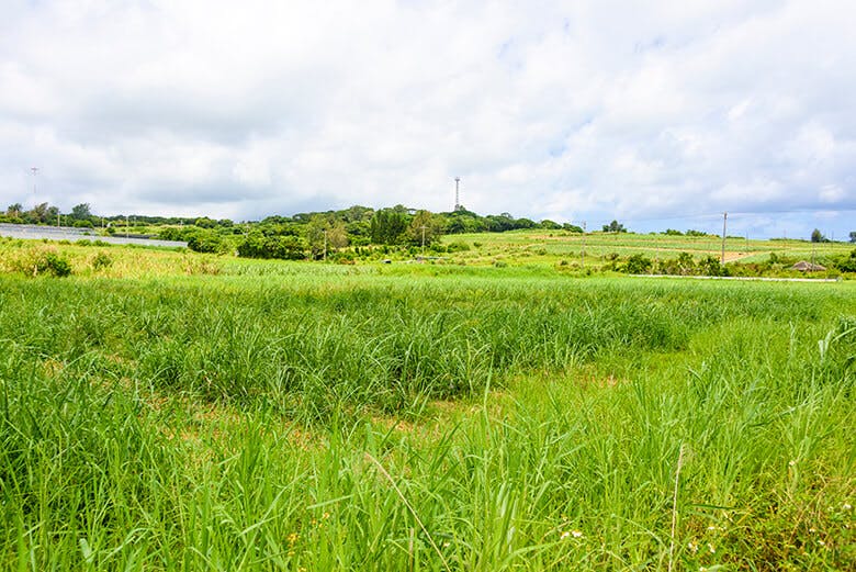 古宇利大橋|緑の豊かな屋我地島の風景