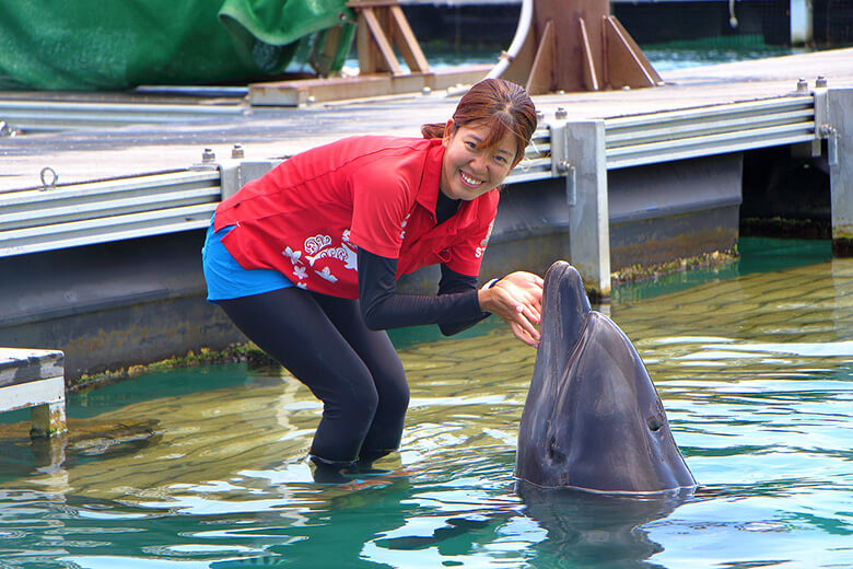 もとぶ元気村|赤いシャツに笑顔が素敵な、ドルフィントレーナーの小塩奈実(おしおなみ)さん