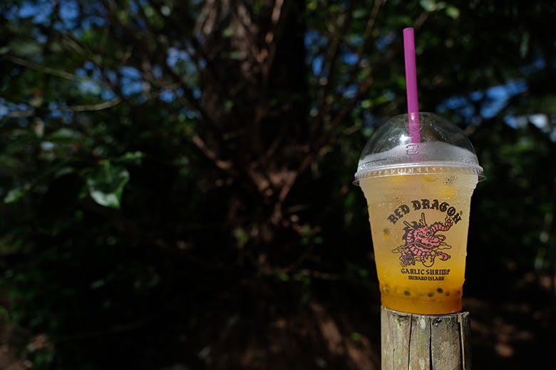 パーラーレッドドラゴン|パッション酵素ジュース