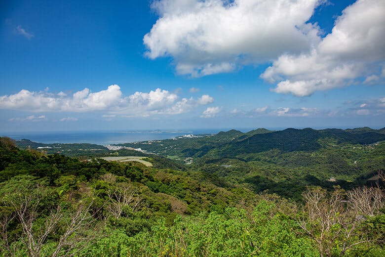 八重岳ベーカリー|山頂からの絶景