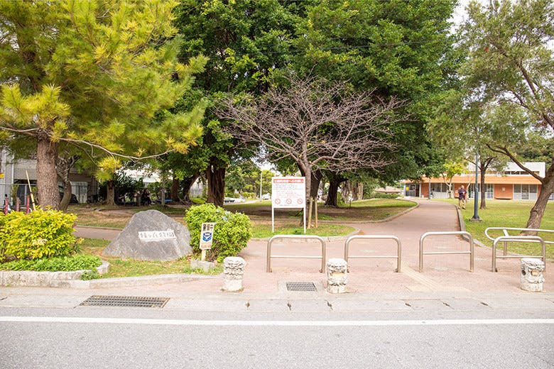 トックリキワタ珈琲店|緑ヶ丘公園