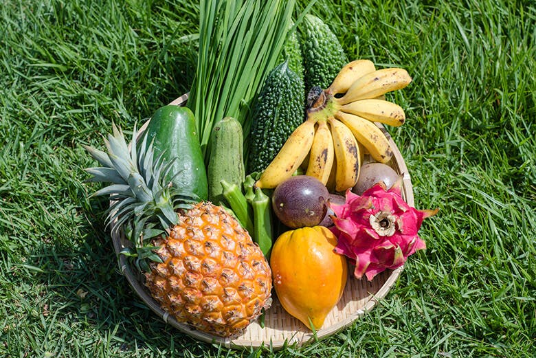 道の駅ゆいゆい国頭｜ざるに乗せられた地元産の野菜やフルーツ