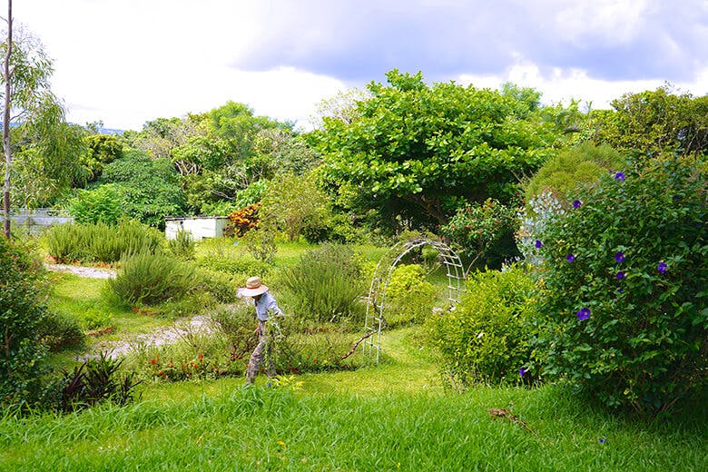 GARDEN