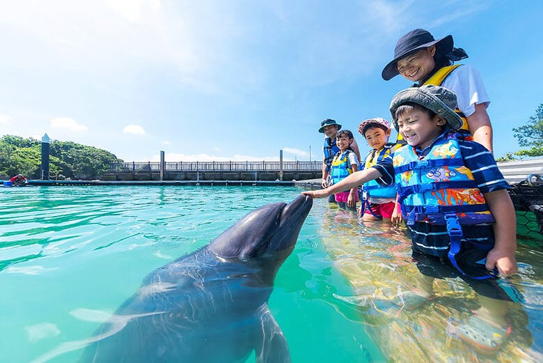 もとぶ元気村|膝まで水中に入ってイルカとふれあう子どもたち