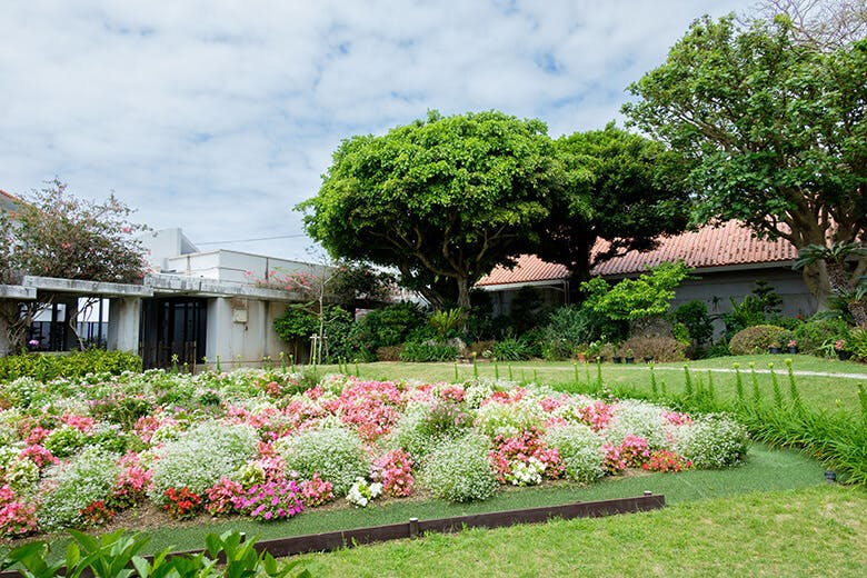 ひめゆり平和祈念資料館|中庭に咲いた色とりどりの花々