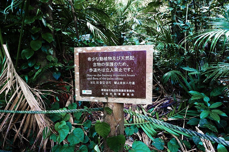 米原（よねはら）のヤエヤマヤシ群落｜立ち入り禁止の立て札