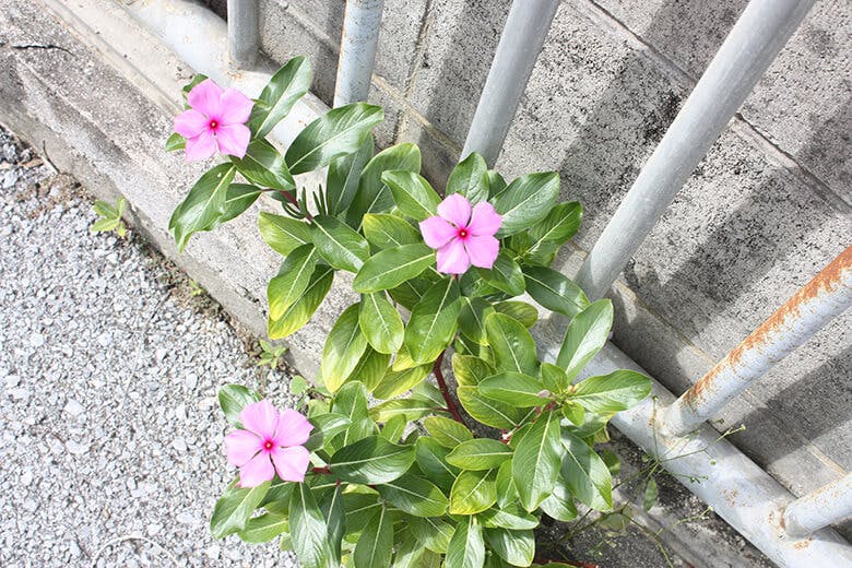 機織（はたおり）工房