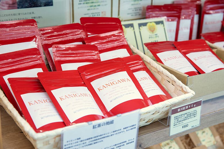 なごアグリパーク｜名護市産の「金川紅茶」