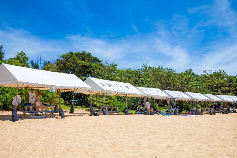 大泊(おおどまり)ビーチ|ズラリと並んだ、レンタル一貼り3000円の大型テント