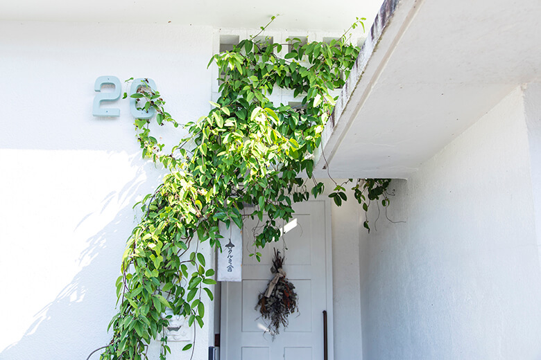 クルミ舎|店舗入り口2