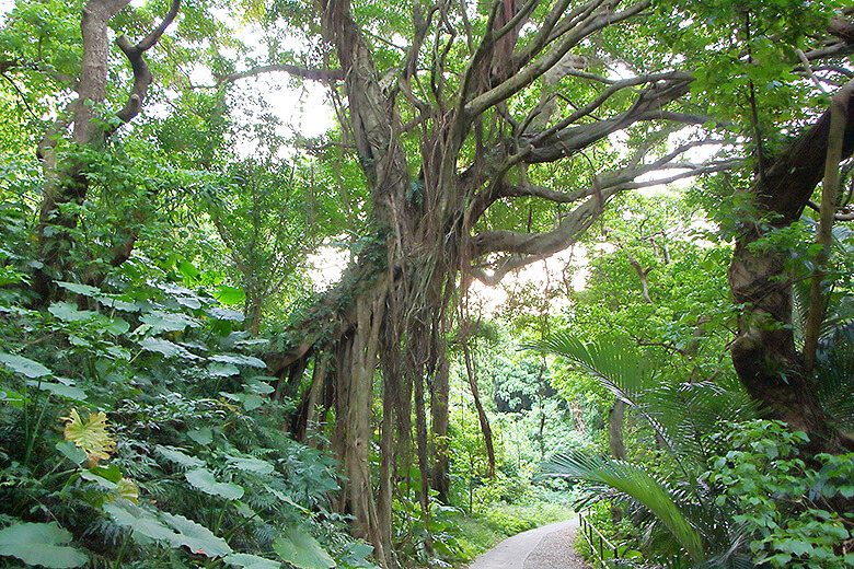 ガンガラーの谷