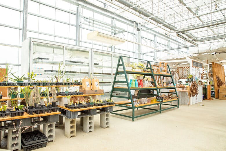 なごアグリパーク｜体感植物温室「スーパーファーム」内観