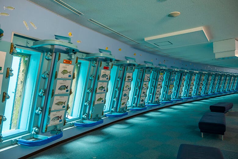 宮古島海中公園｜水中観察施設