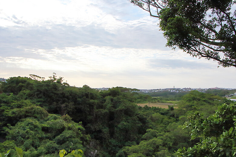 遠くに見える「港川採石場」