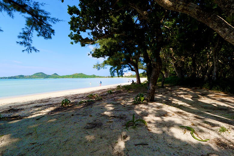 底地ビーチ(すくじびーち)|木陰から見えるビーチ