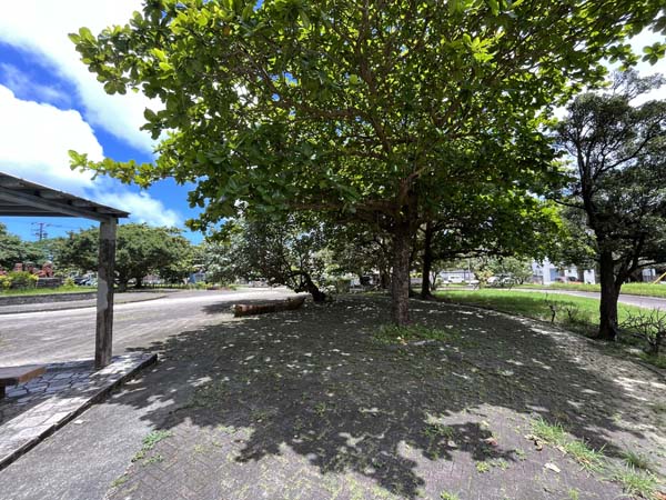 07与原公園_遊歩道2