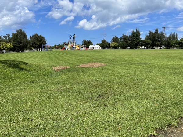 09東崎都市緑地 イルカ公園_広場1