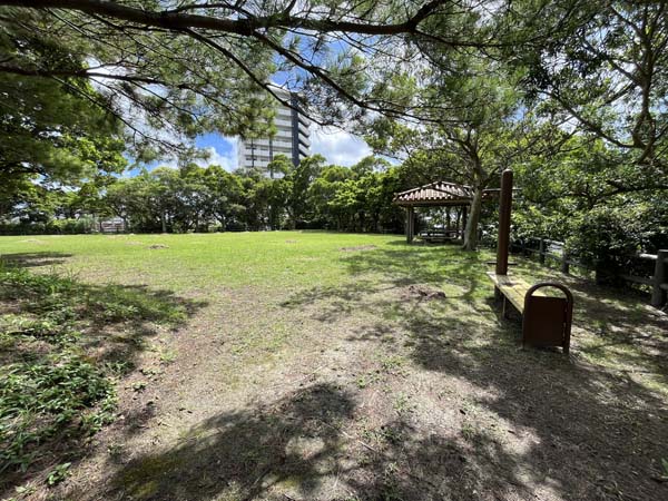 11上原高台公園_広場1