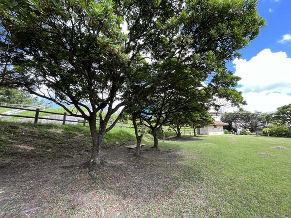 12上原高台公園_広場2