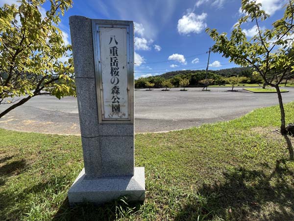 02八重岳桜の森_入り口