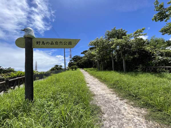 03野鳥の森自然公園_入り口