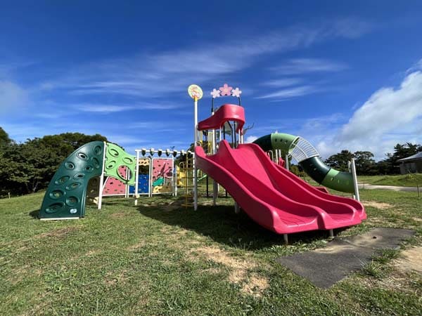 04八重岳桜の森_遊具1