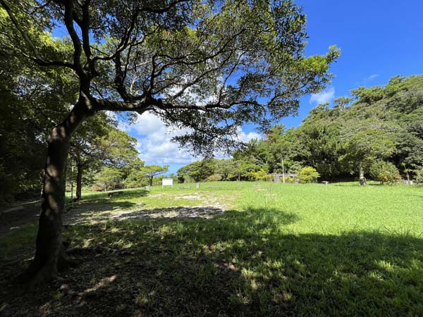 04石川市民の森公園_広場