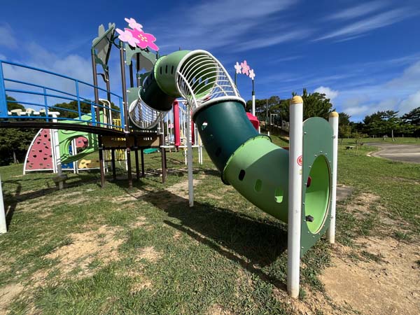 05八重岳桜の森_遊具2