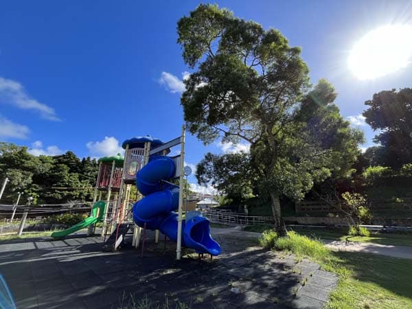 05大川児童公園_遊具1