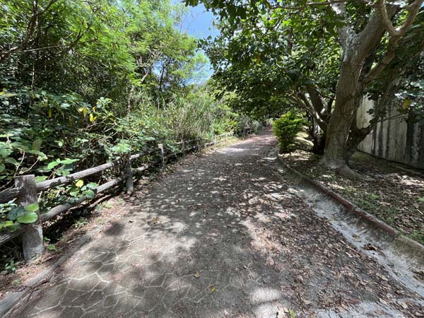 05石川市民の森公園_遊歩道1