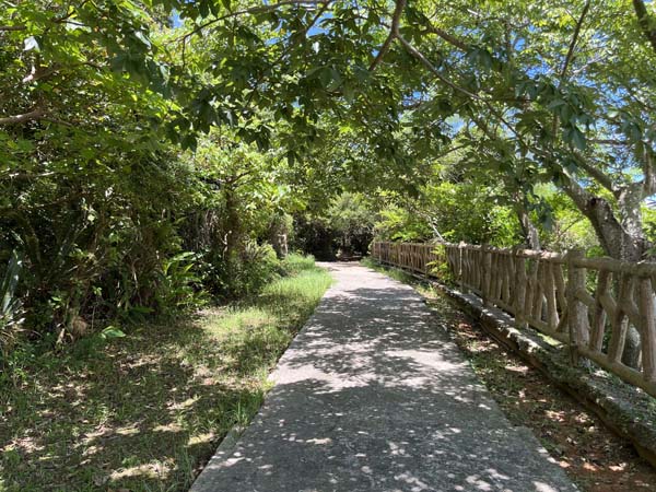 05野鳥の森自然公園_遊歩道2