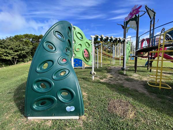 06八重岳桜の森_遊具3