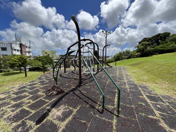 06安慶名中央公園_遊具3