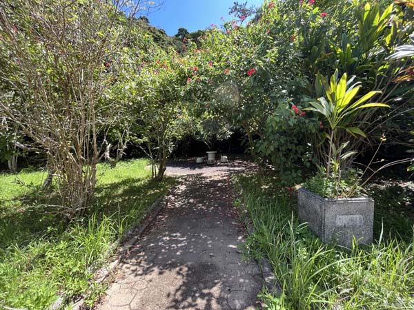 06石川市民の森公園_遊歩道２