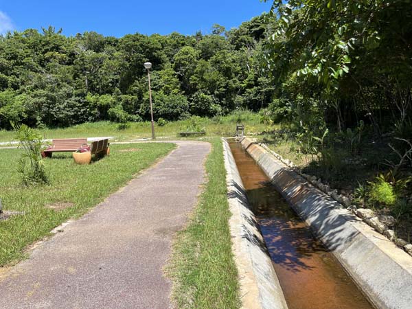 06石川運動広場_遊歩道