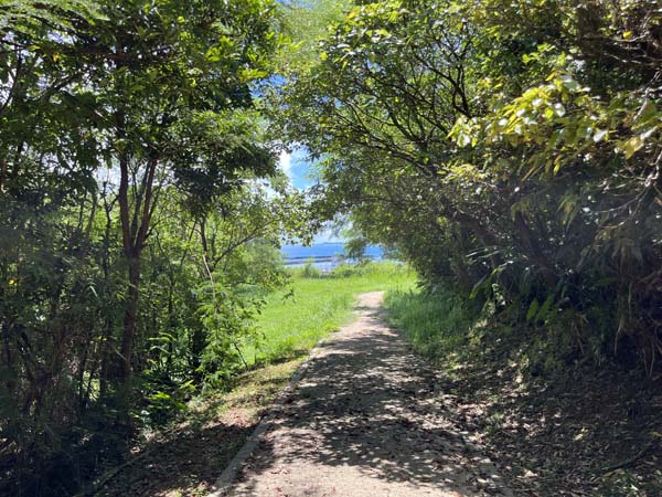06野鳥の森自然公園_遊歩道3