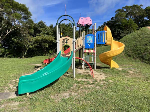 07八重岳桜の森_遊具4