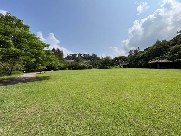 07湖辺底親水公園_広場