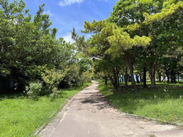 07漫湖公園_鏡原_遊歩道1