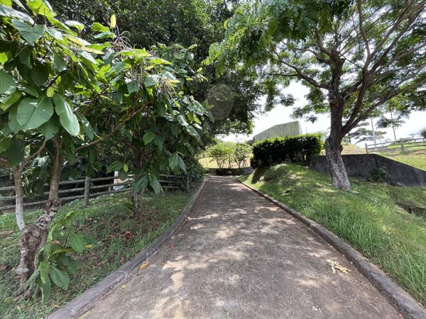 08佐真下公園_遊歩道