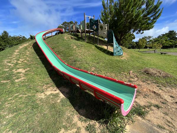 08八重岳桜の森_遊具5