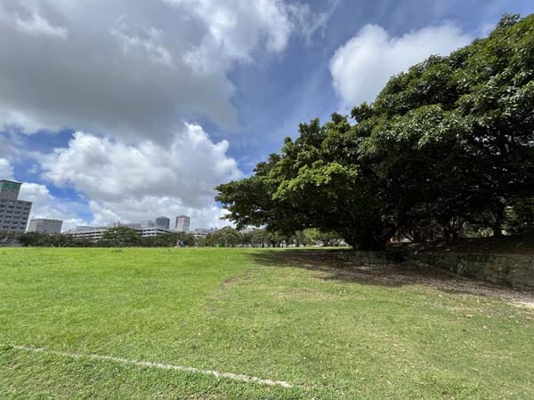 08新都心公園_広場1