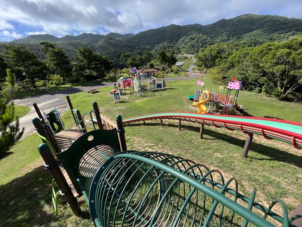 09八重岳桜の森_遊具6