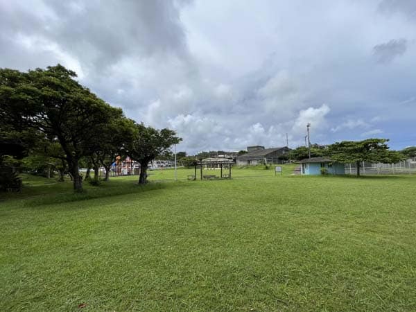 10中川近隣公園_広場