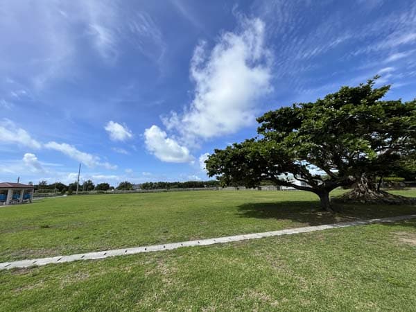 10桃原公園_宮城島_広場